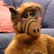 Photo of Graham Towers